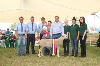 Champion White SuffolkRam lamb 2011 record price for WA auction $6600