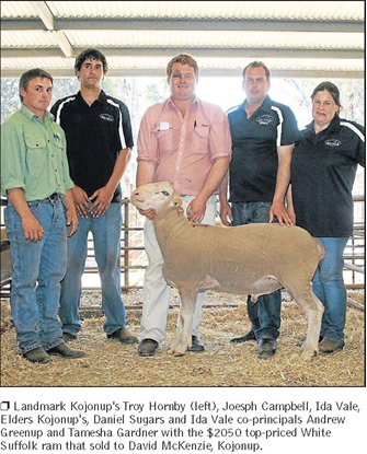 White Suffolk top price ram 2011 ram sale results Ida Vale Kojonup